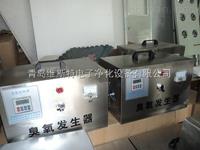 莆田果蔬臭氧消毒機(jī)廠家